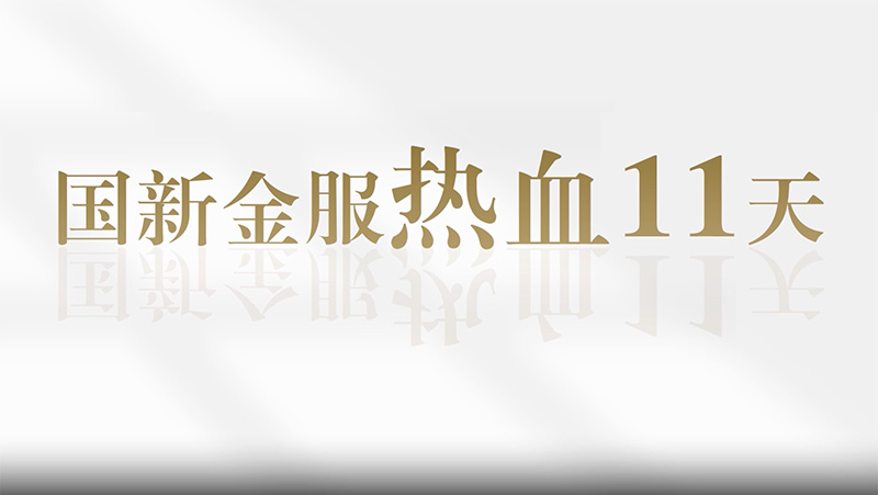 國(guo)新(xin)金服熱血11天